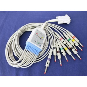 Câble Patient ECG Philips 15 Broches 10 Fils (banane) - Compatible M2461A - Neuf